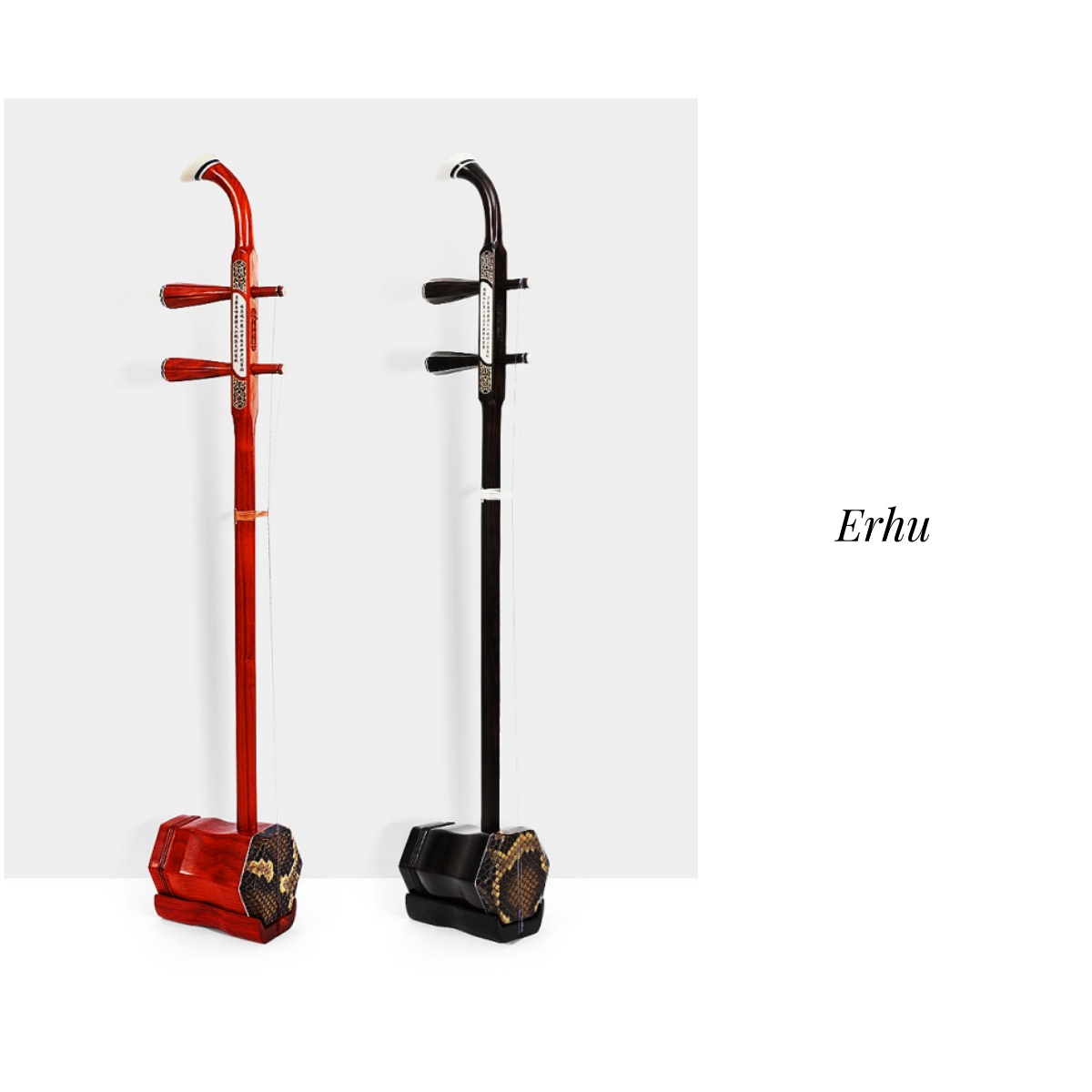 Musical Instrument Bassoon - Erhu Tradizionale Cinese a 2 Corde,