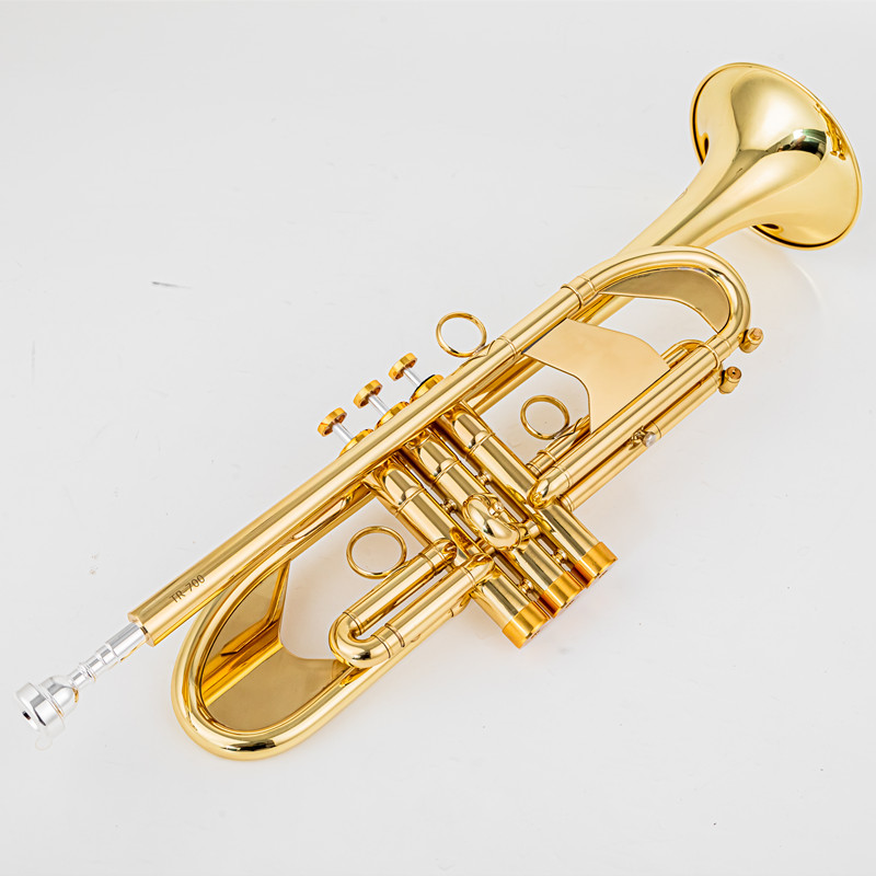 Musical Instrument Fagot - Vincent BACH 700 Tromba B in