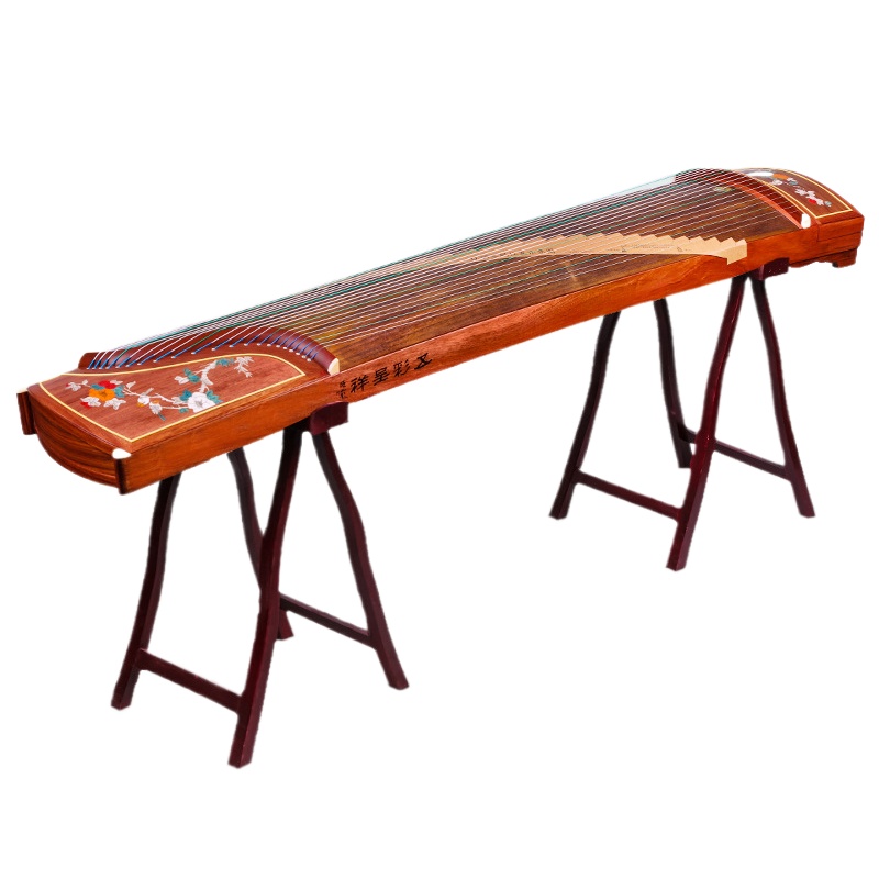 Staffa universale Guzheng Espo - Musical Instrument Accessories recensione e prezzo