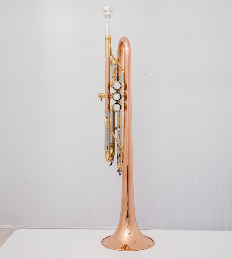 Strumenti musicali professiona - Musical Instrument Fagot recensione e prezzo