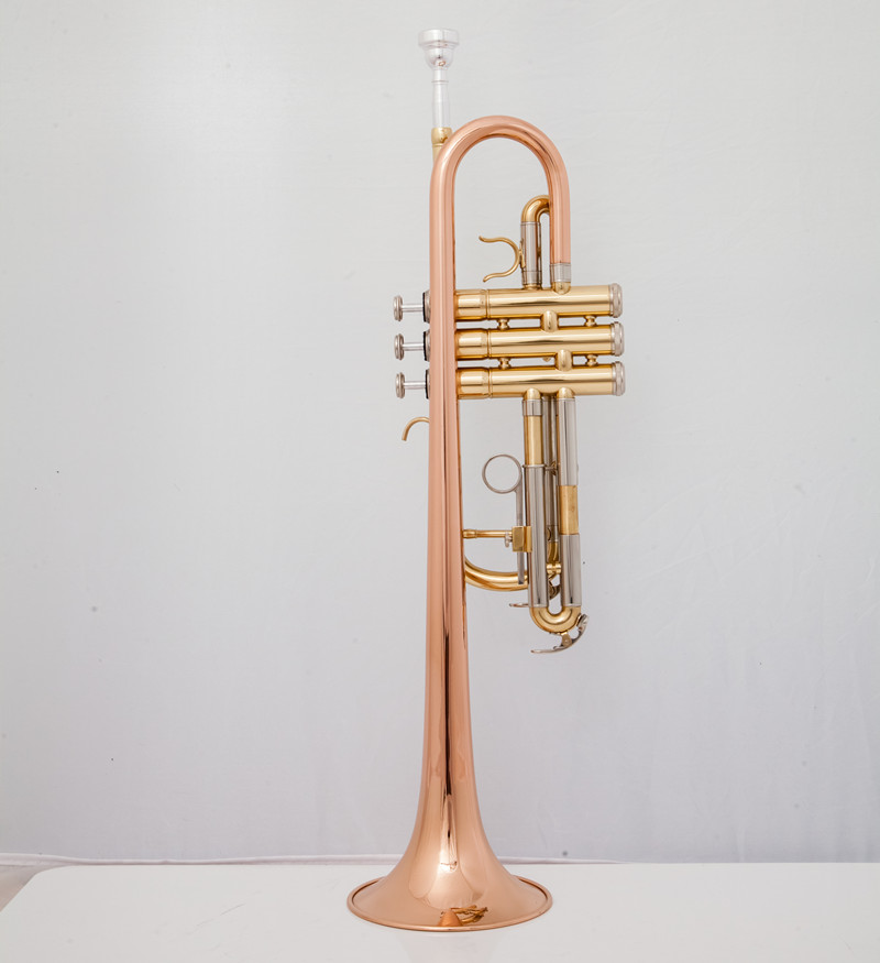 Strumenti musicali professiona - Musical Instrument Fagot recensione e prezzo