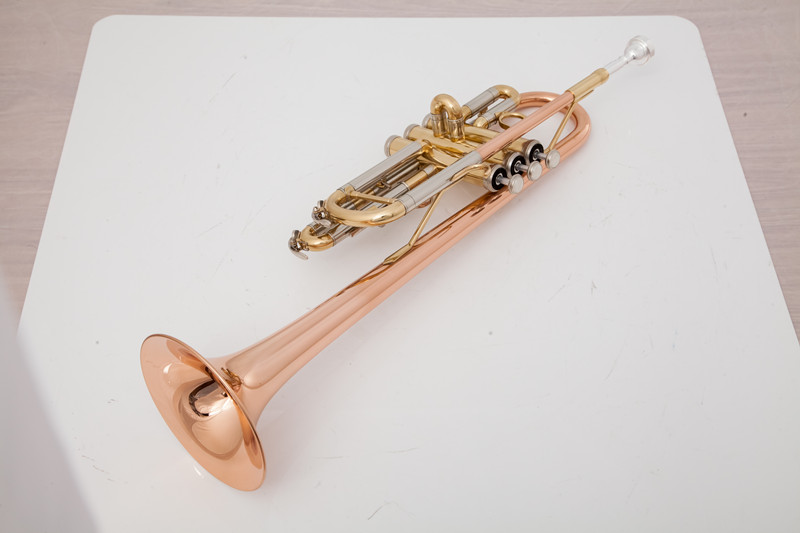 Strumenti musicali professiona - Musical Instrument Fagot recensione e prezzo
