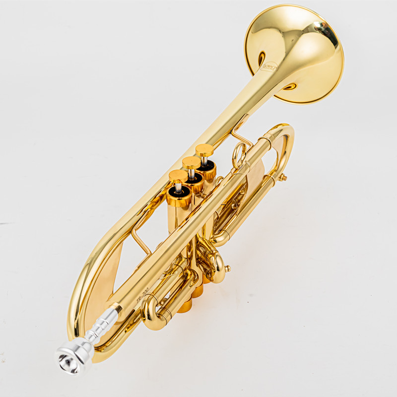Vincent BACH 700 Tromba B in o - Musical Instrument Fagot recensione e prezzo