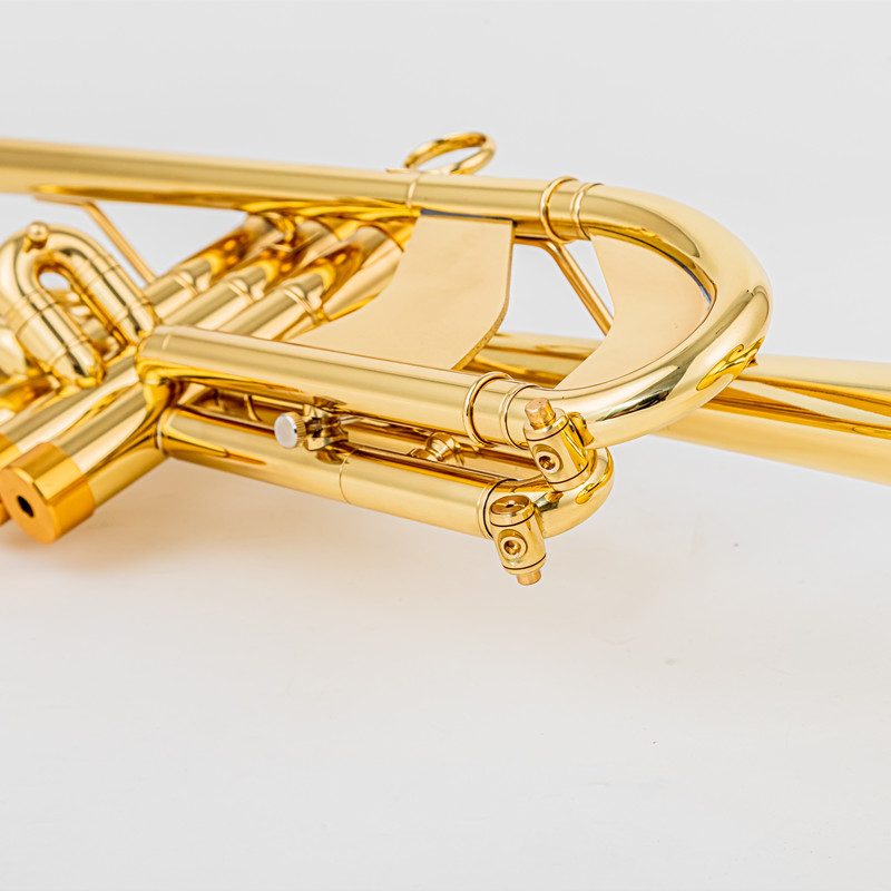 Vincent BACH 700 Tromba B in o - Musical Instrument Fagot recensione e prezzo