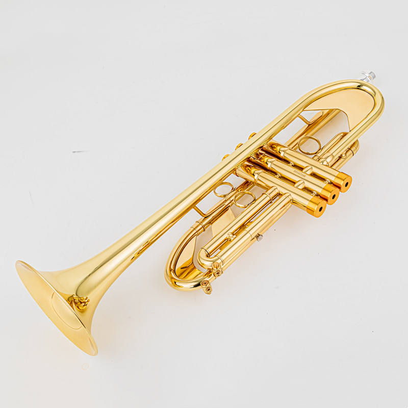 Vincent BACH 700 Tromba B in o - Musical Instrument Fagot recensione e prezzo