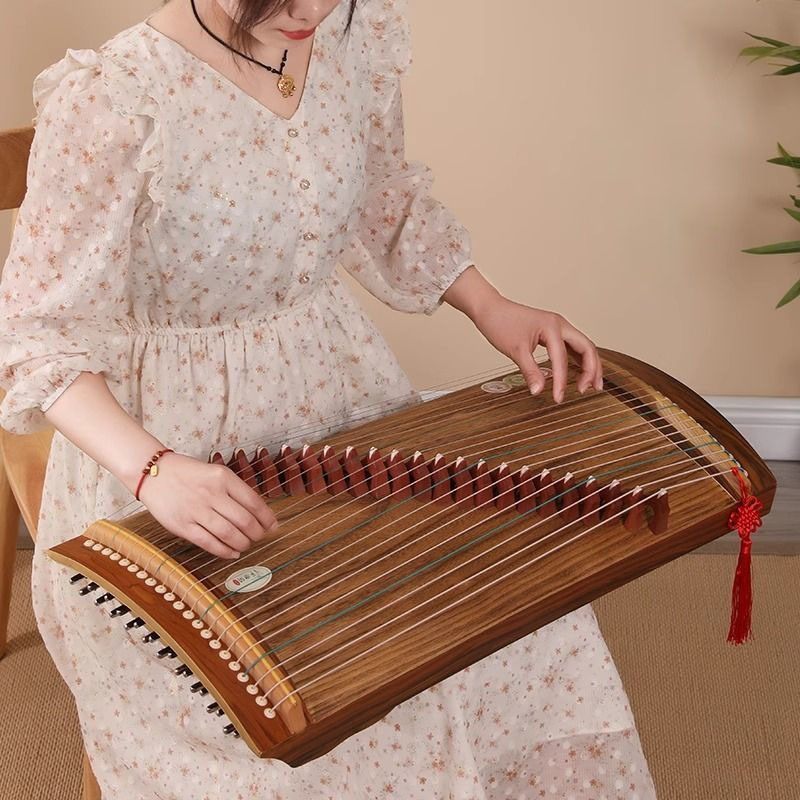 70/100 centimetri Piccolo Guzh - Musical Instrument Guzheng recensione e prezzo
